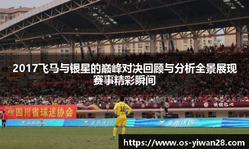 2017飞马与银星的巅峰对决回顾与分析全景展现赛事精彩瞬间